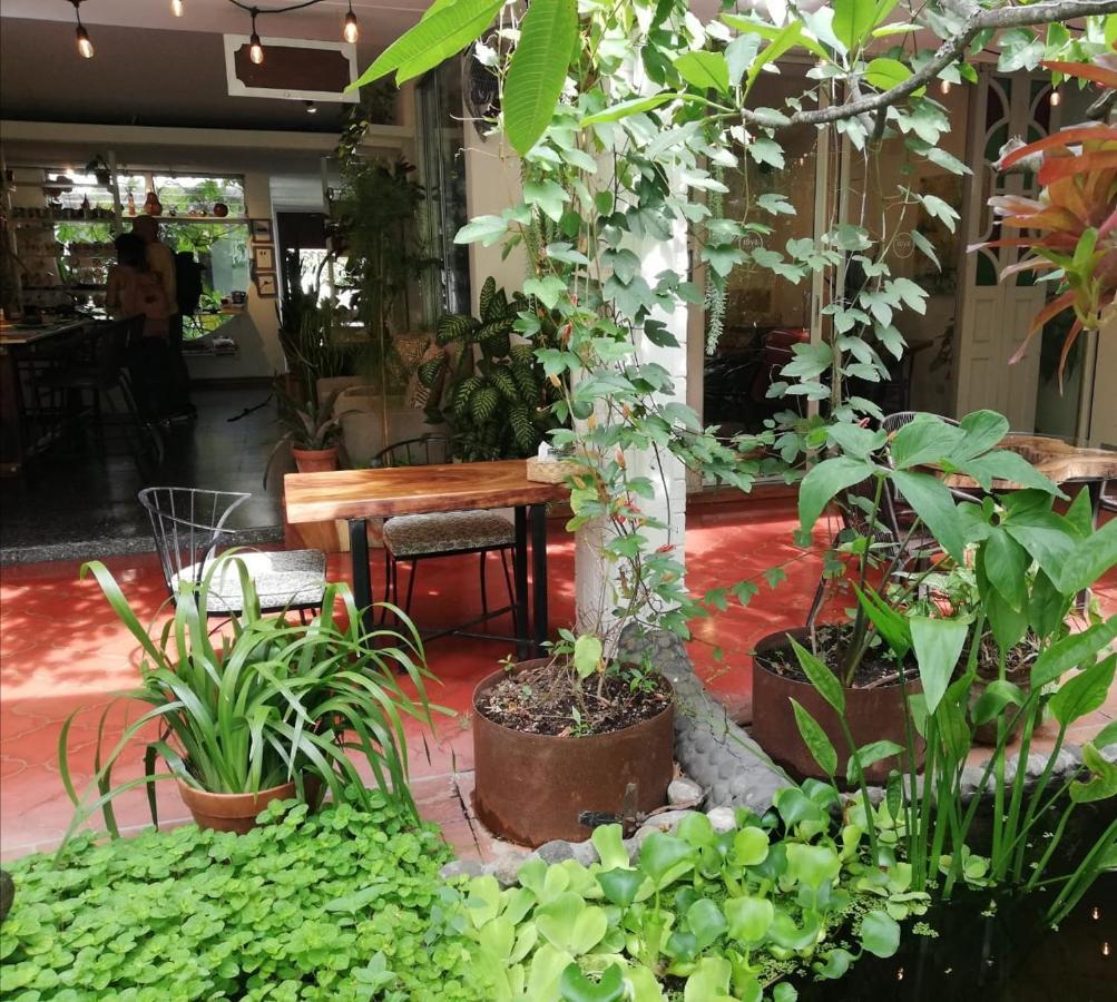 Cinco Hotel B&B San Salvador Eksteriør billede