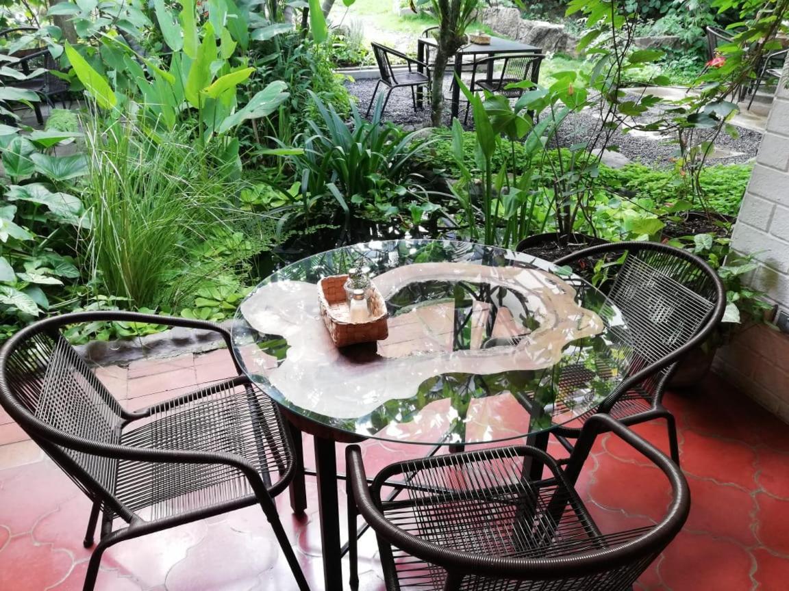 Cinco Hotel B&B San Salvador Eksteriør billede