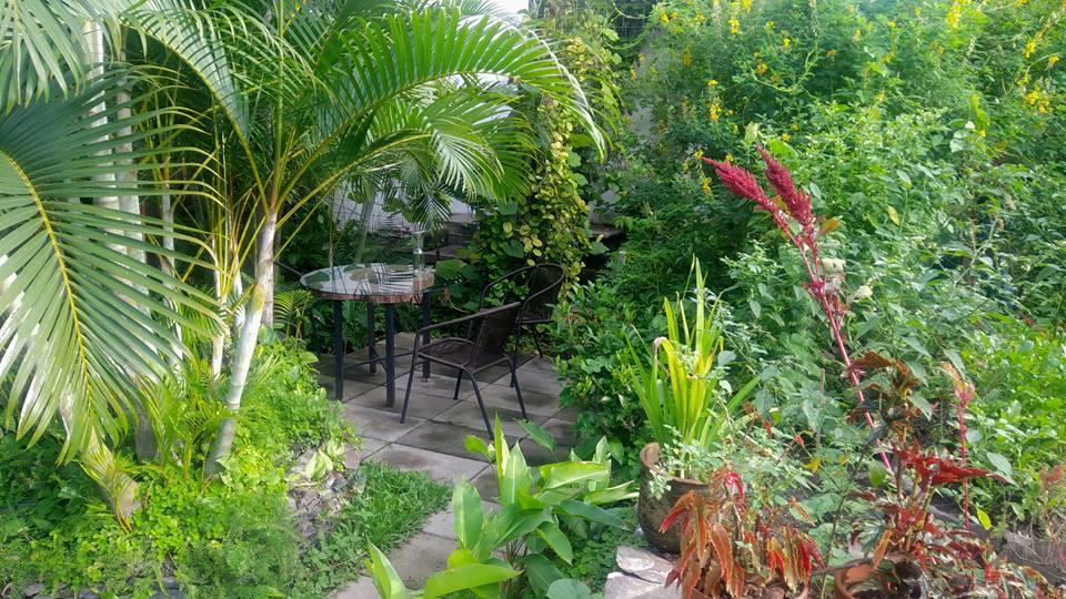 Cinco Hotel B&B San Salvador Eksteriør billede